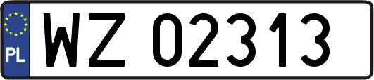 WZ02313
