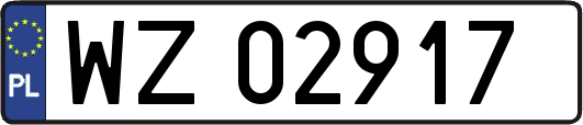WZ02917