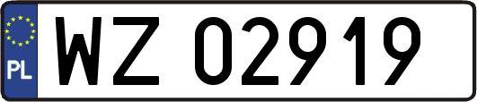 WZ02919