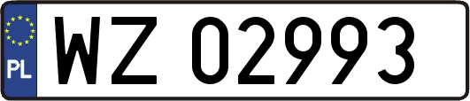 WZ02993