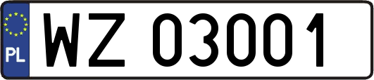 WZ03001