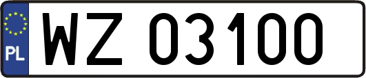 WZ03100