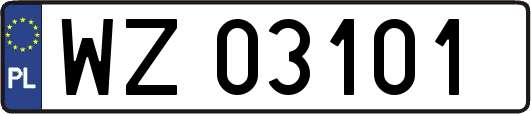 WZ03101