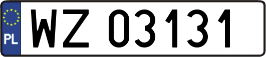 WZ03131