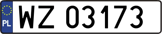WZ03173