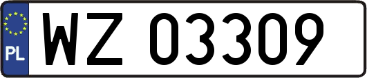 WZ03309