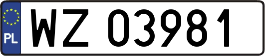 WZ03981
