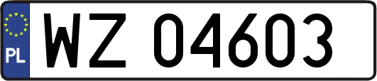 WZ04603
