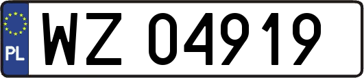 WZ04919