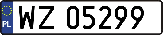 WZ05299