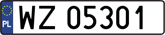 WZ05301