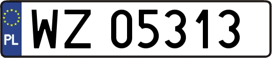 WZ05313