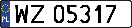 WZ05317