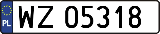 WZ05318