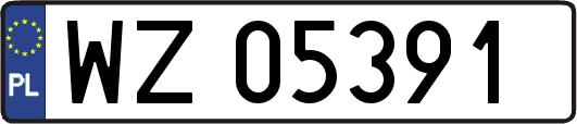 WZ05391
