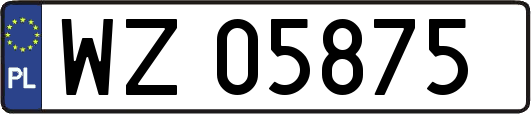 WZ05875