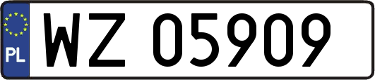 WZ05909