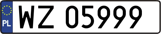 WZ05999