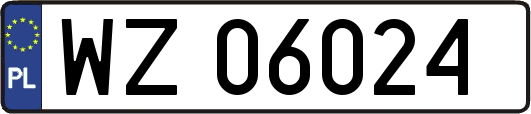WZ06024