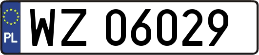 WZ06029