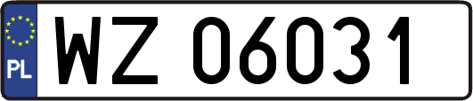 WZ06031