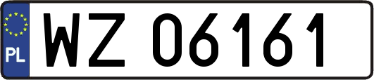 WZ06161