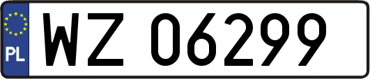 WZ06299