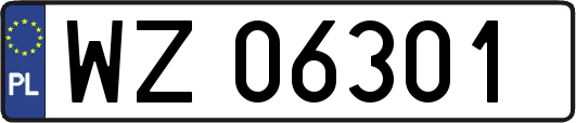 WZ06301