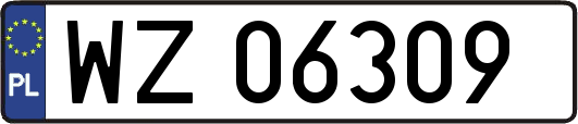 WZ06309