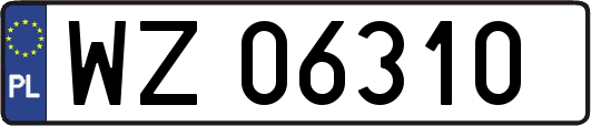 WZ06310