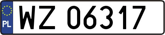 WZ06317