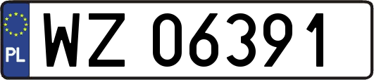 WZ06391