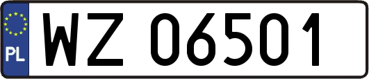 WZ06501