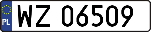 WZ06509