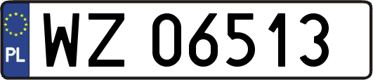 WZ06513