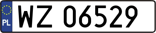 WZ06529