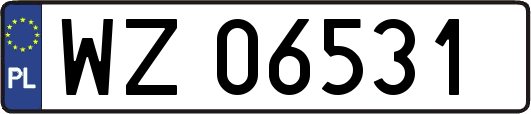WZ06531
