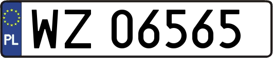 WZ06565