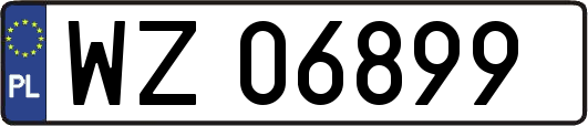 WZ06899