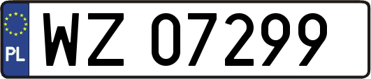 WZ07299