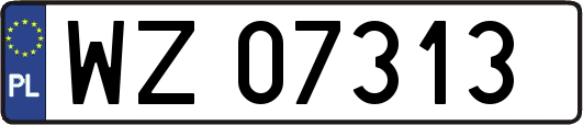 WZ07313