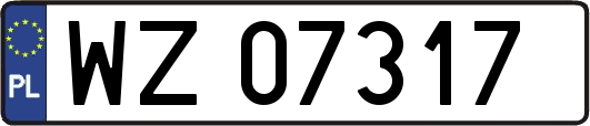 WZ07317