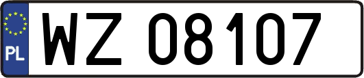 WZ08107