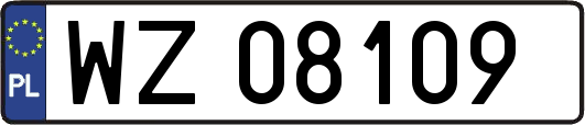 WZ08109