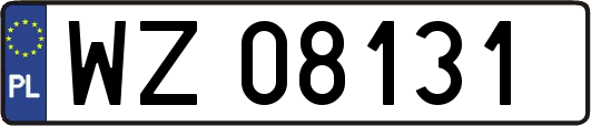 WZ08131