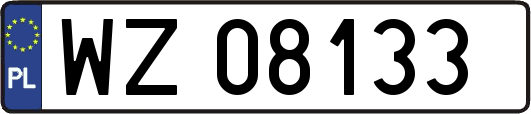 WZ08133
