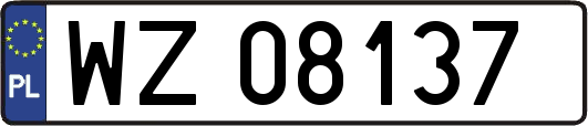 WZ08137