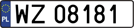 WZ08181