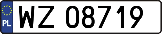 WZ08719