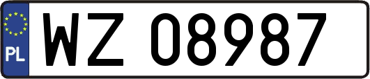 WZ08987